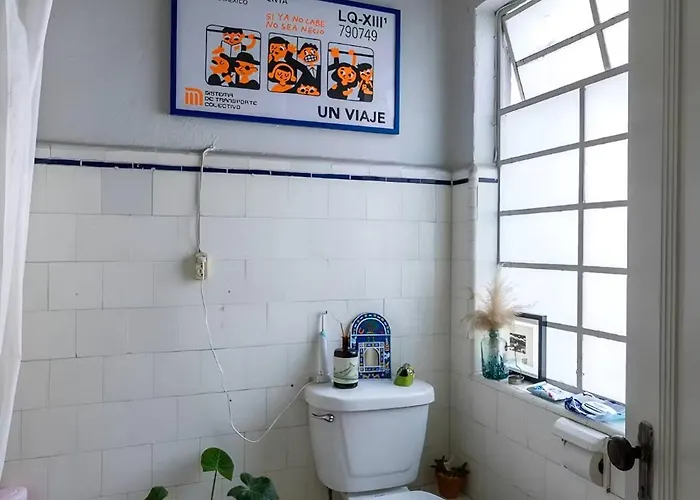 Beautiful, Bright Room, Right On The Park Homestay Mexico City