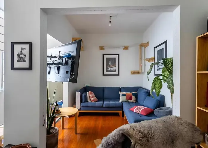 Homestay Beautiful, Bright Room, Right On The Park Mexico City